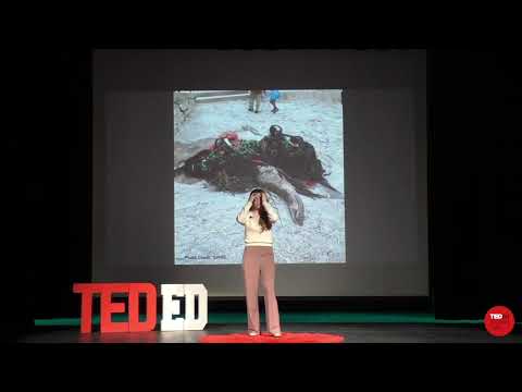 Olivia's TED-Ed Student Talk